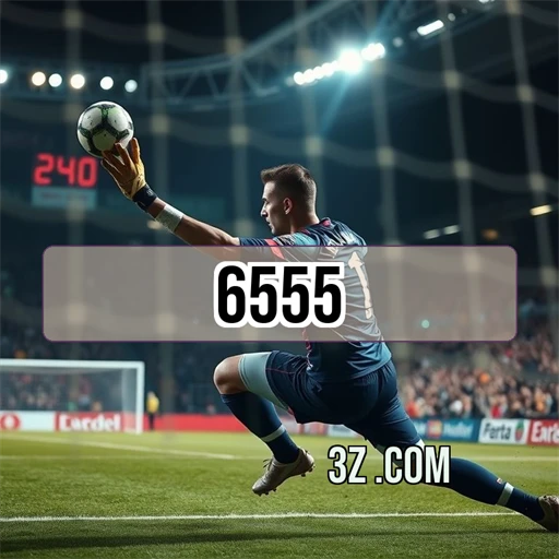 6555 plataforma Simulação